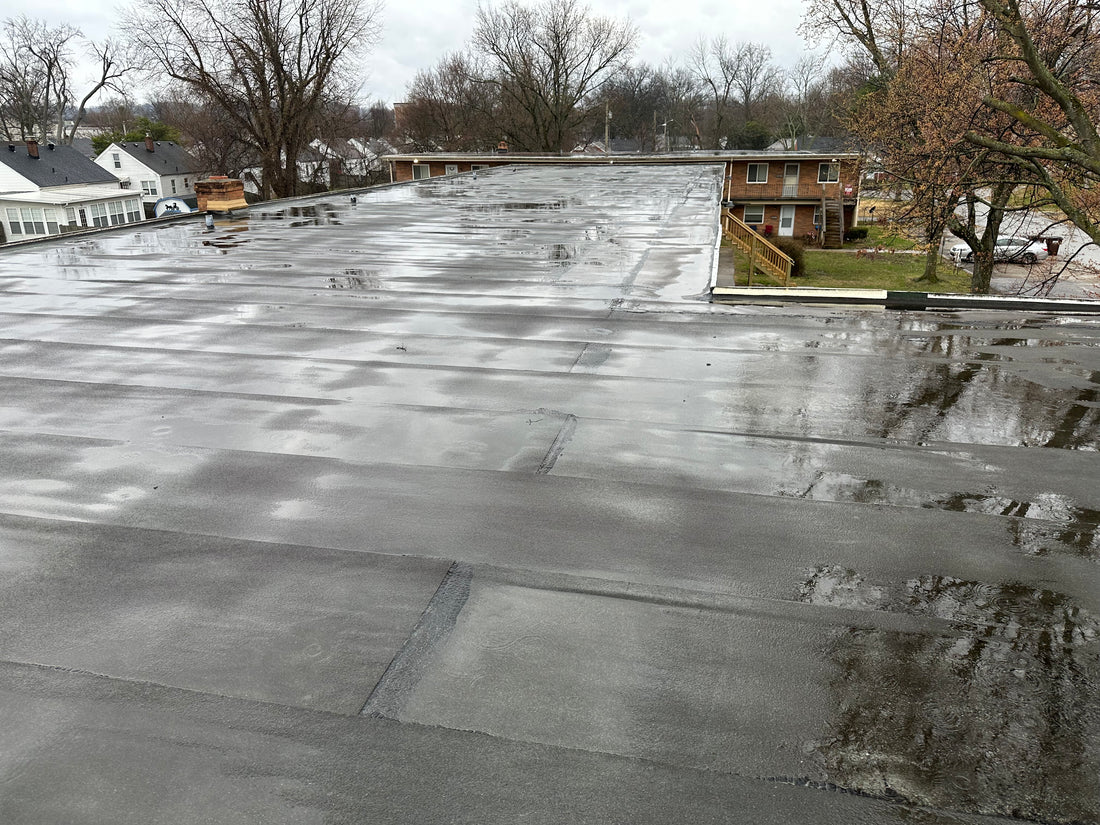 Roof Leaks Aren't the Only Sign of a Damaged Roof