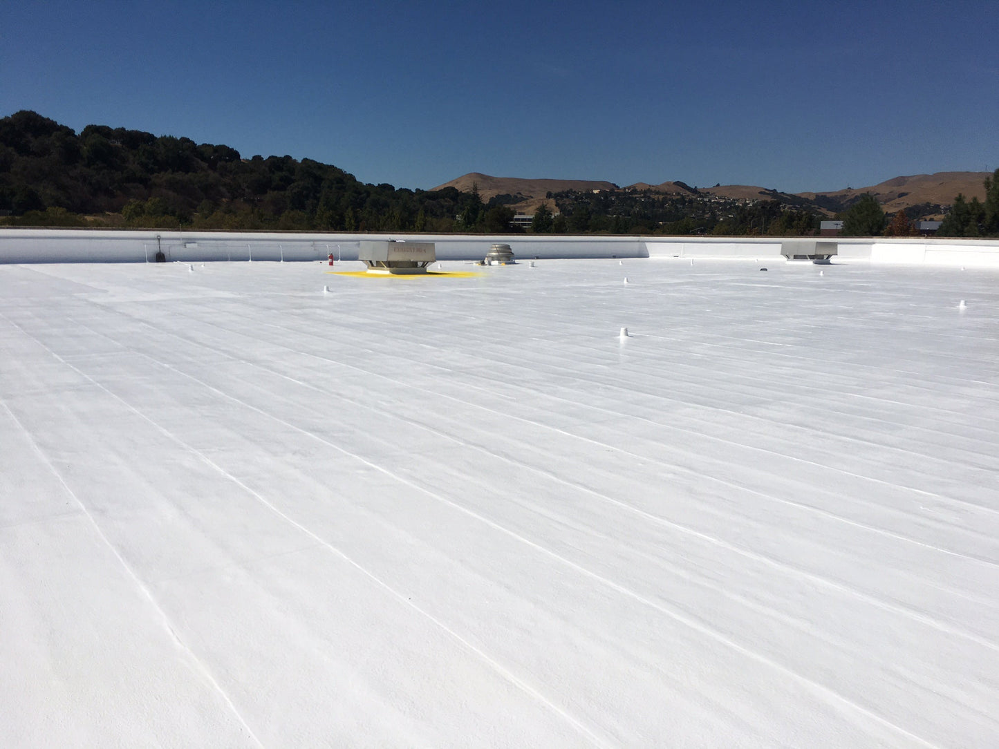 Silicone Top Coat - High Solids